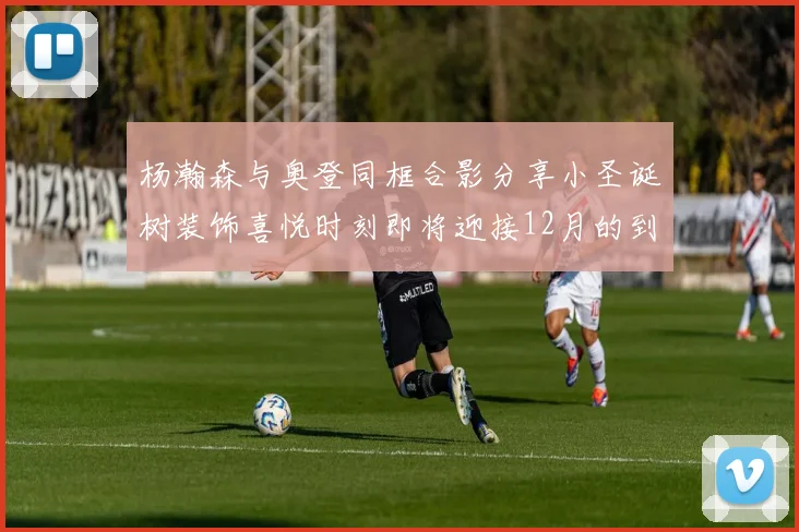杨瀚森与奥登同框合影分享小圣诞树装饰喜悦时刻即将迎接12月的到来