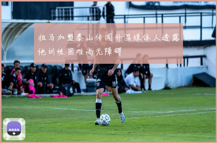 祖马加盟泰山传闻升温媒体人透露他训练困难尚无障碍