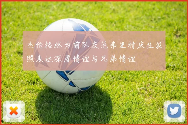杰伦格林为前队友范弗里特庆生发照表达深厚情谊与兄弟情谊