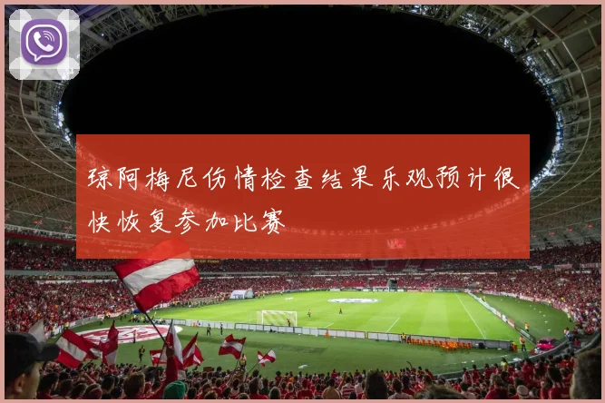 琼阿梅尼伤情检查结果乐观预计很快恢复参加比赛