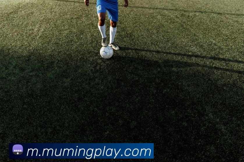 沐鸣娱乐平台生态图