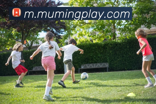 沐鸣娱乐APP 封面图